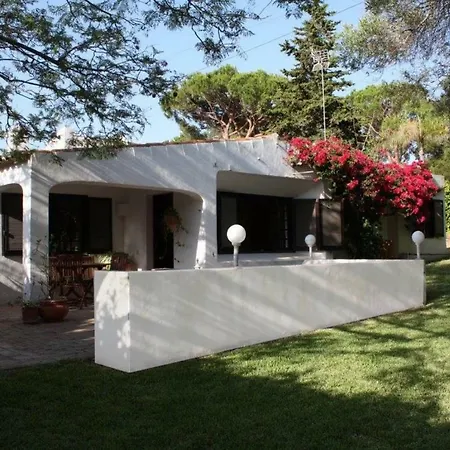 67 Albufeira